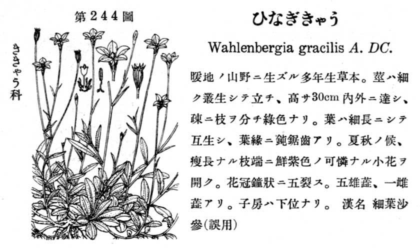 植物図鑑