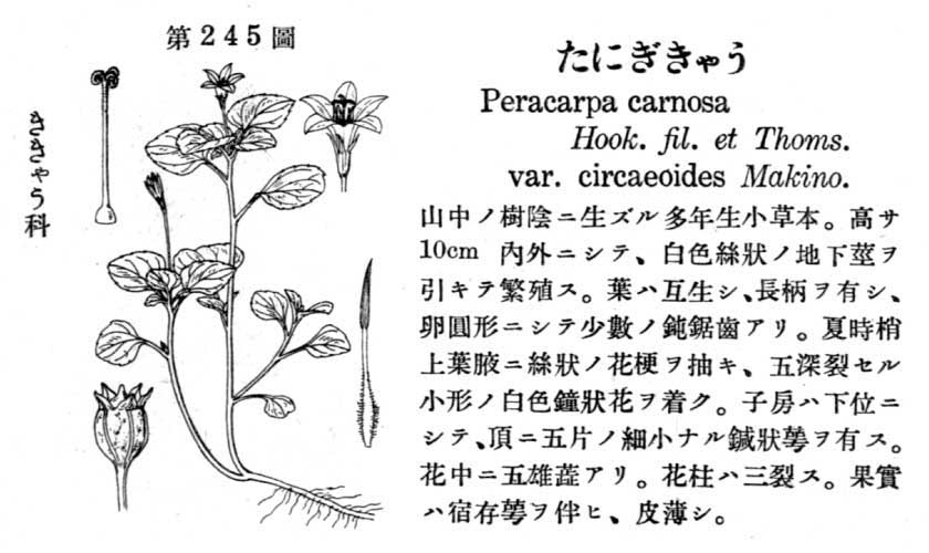 植物図鑑