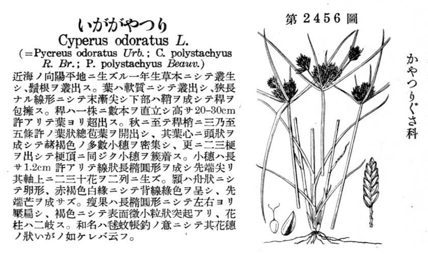 植物図鑑