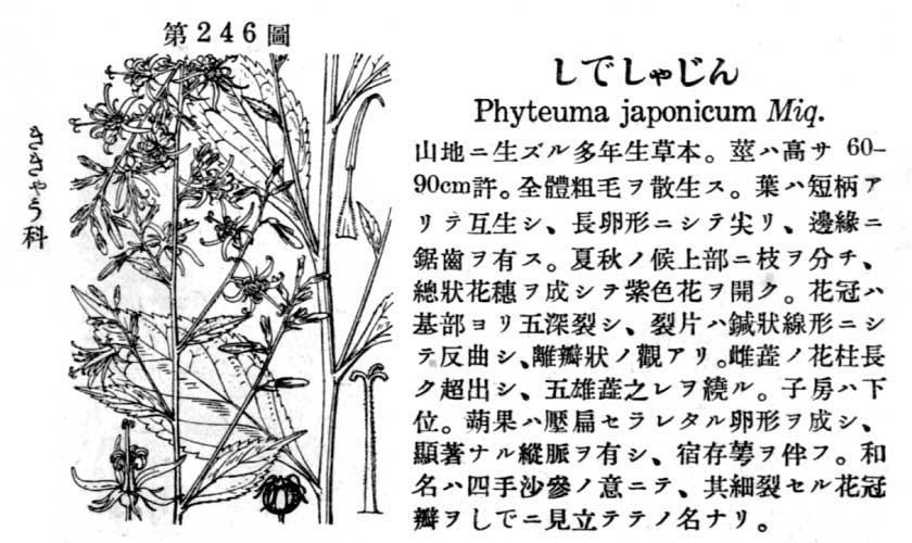 植物図鑑
