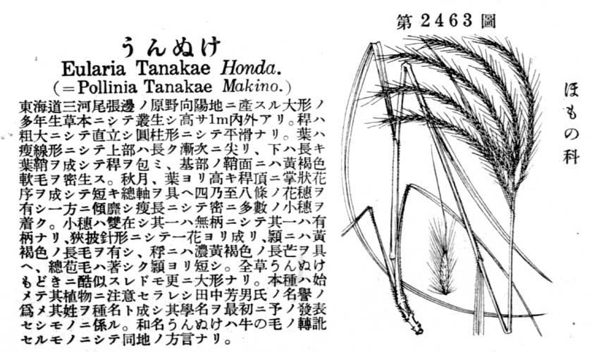 植物図鑑