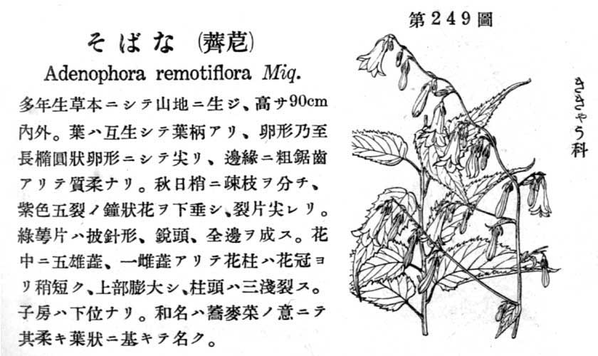 植物図鑑