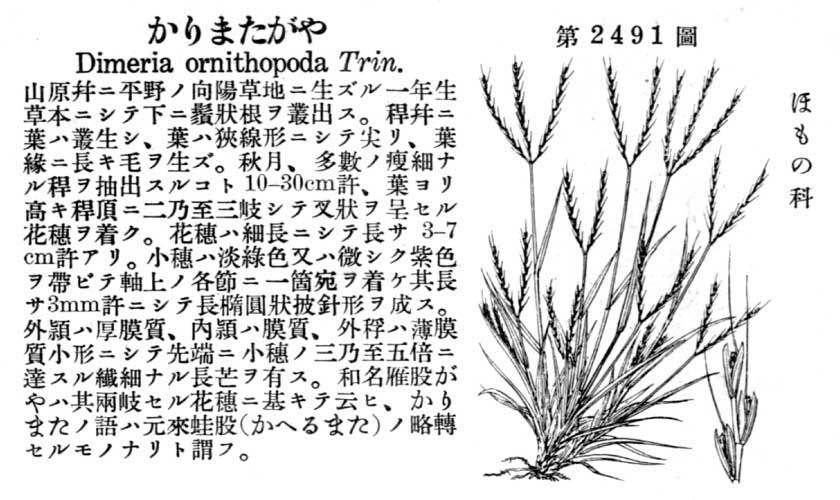 植物図鑑