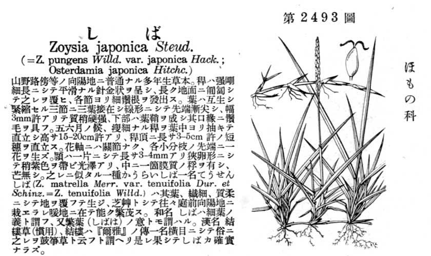 植物図鑑