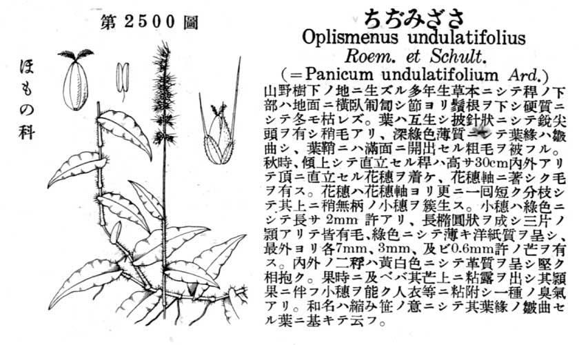 植物図鑑