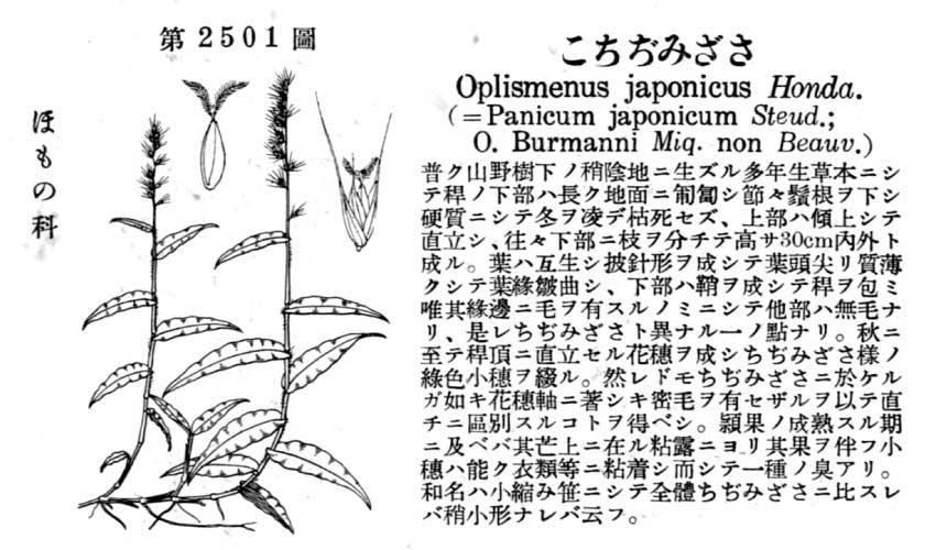 植物図鑑