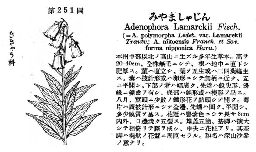 植物図鑑