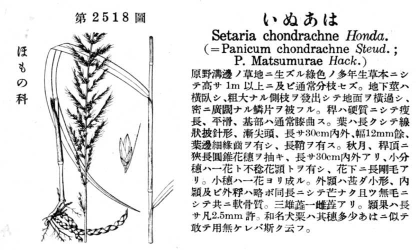 植物図鑑