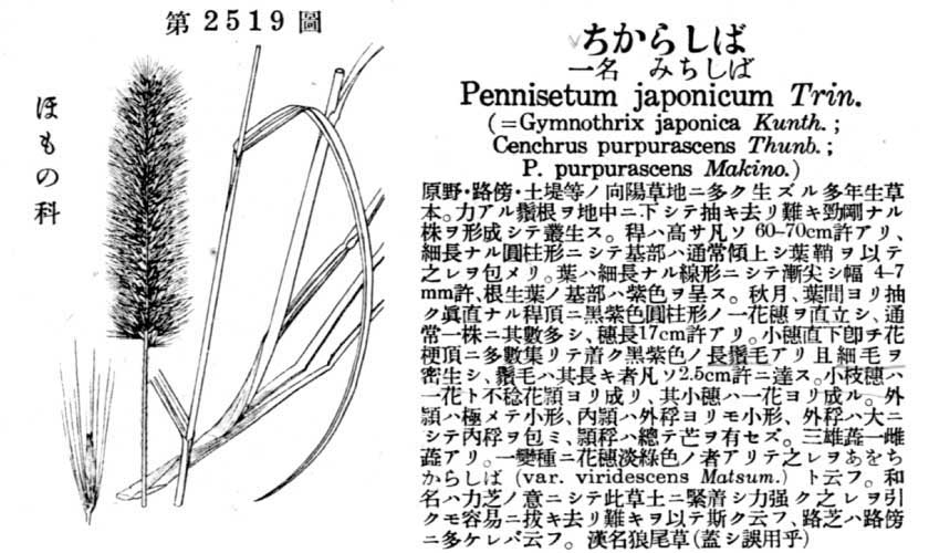 植物図鑑