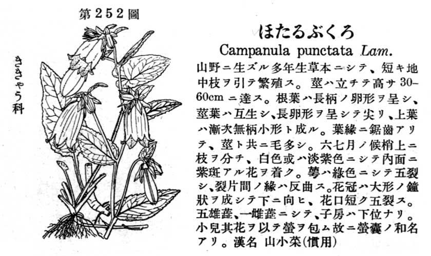 植物図鑑