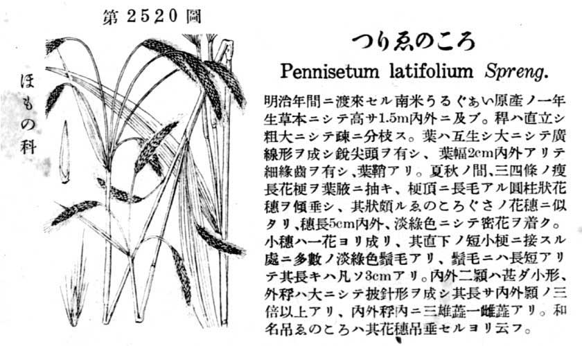 植物図鑑