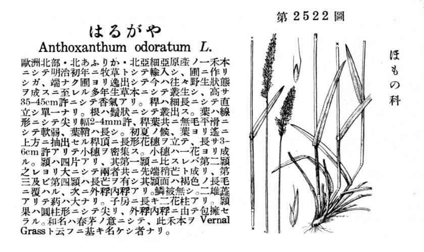 植物図鑑