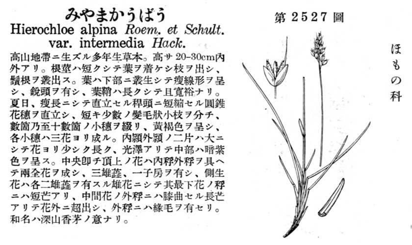 植物図鑑