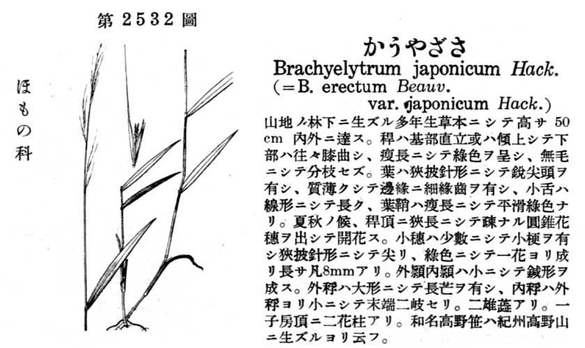 植物図鑑