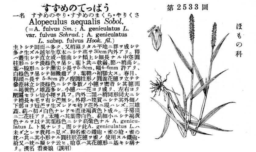 植物図鑑