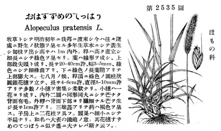 植物図鑑