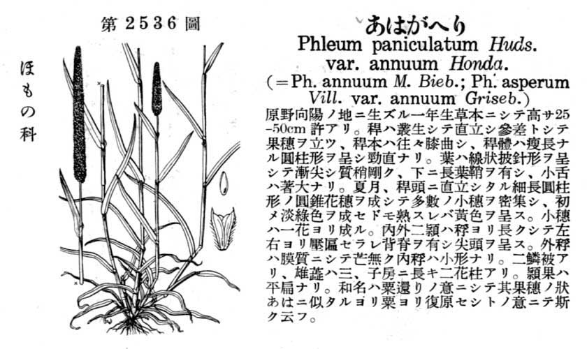 植物図鑑