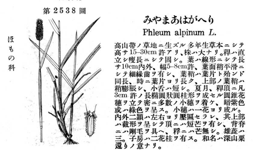 植物図鑑