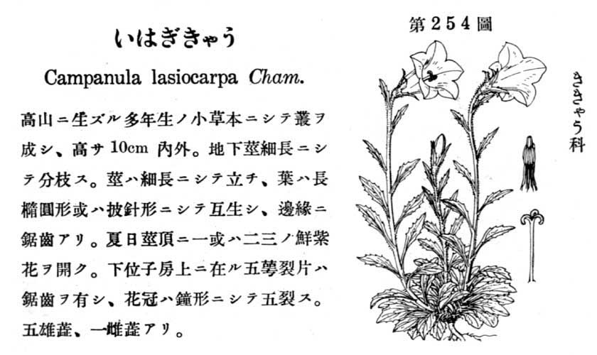 植物図鑑