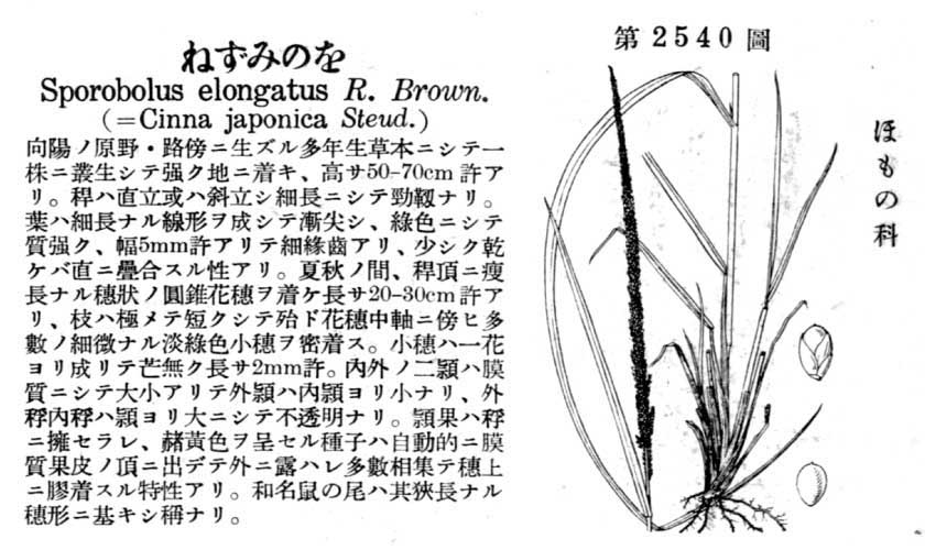 植物図鑑