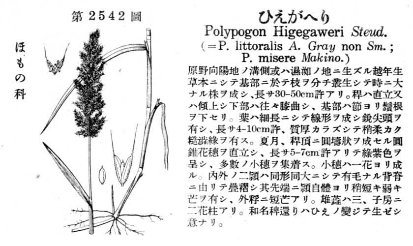 植物図鑑