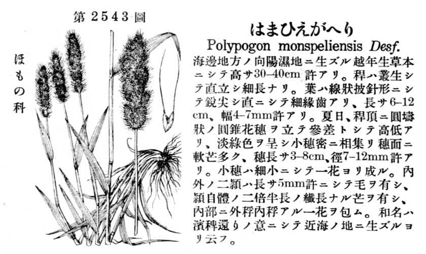 植物図鑑