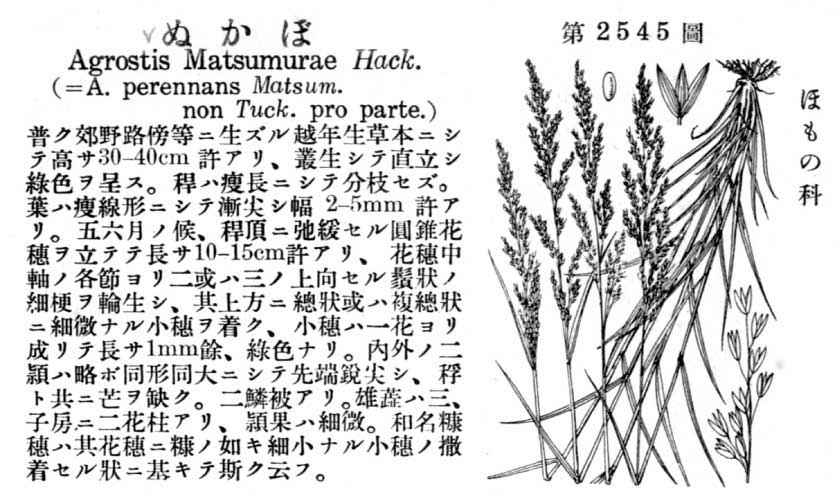 植物図鑑