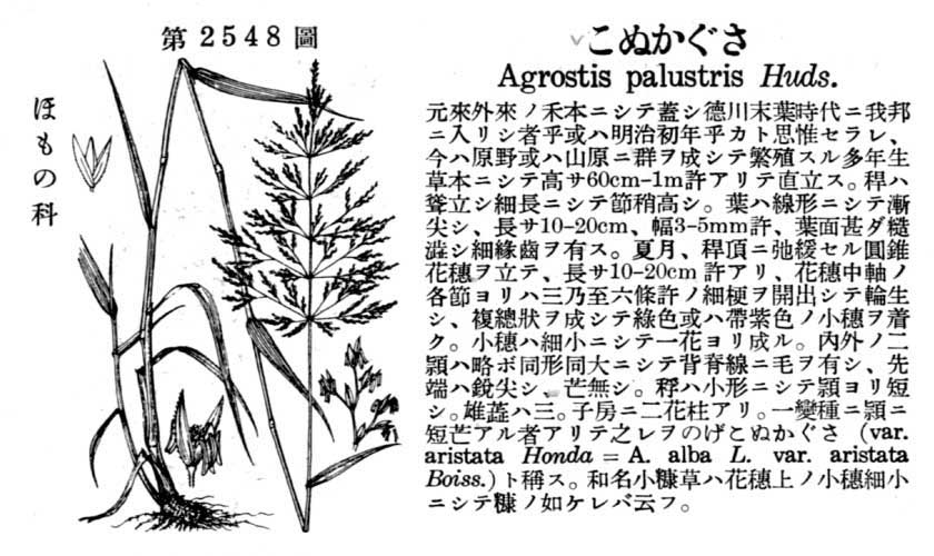 植物図鑑