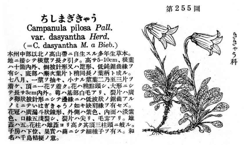 植物図鑑