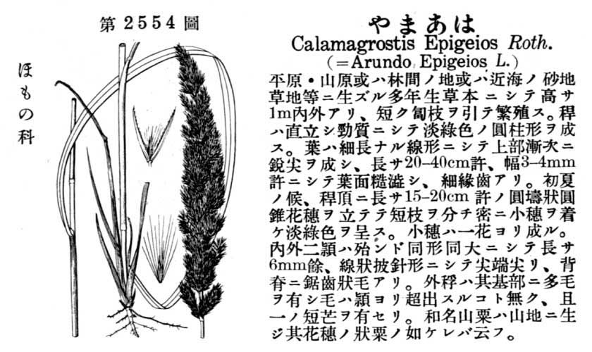 植物図鑑