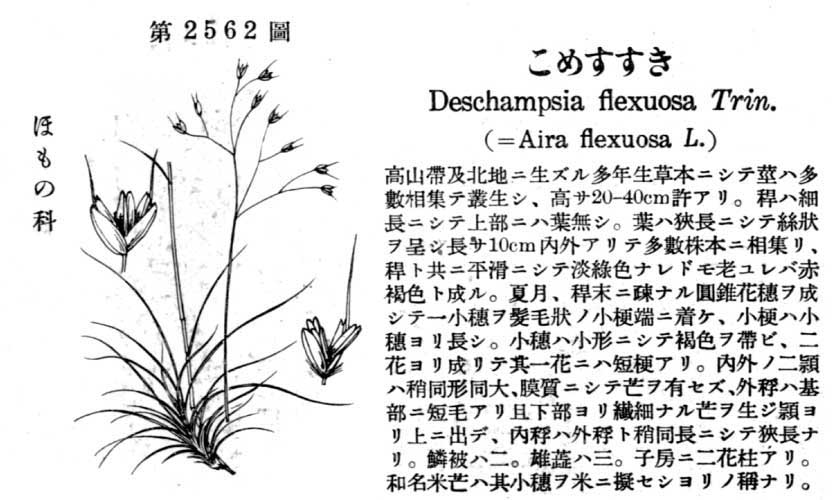 植物図鑑