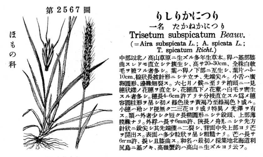 植物図鑑