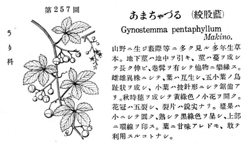 植物図鑑