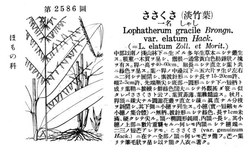 植物図鑑