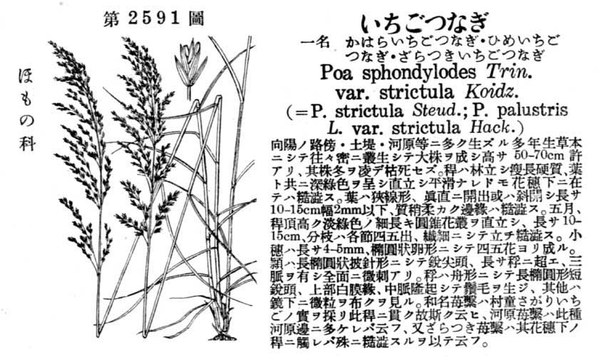 植物図鑑