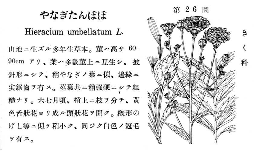 植物図鑑