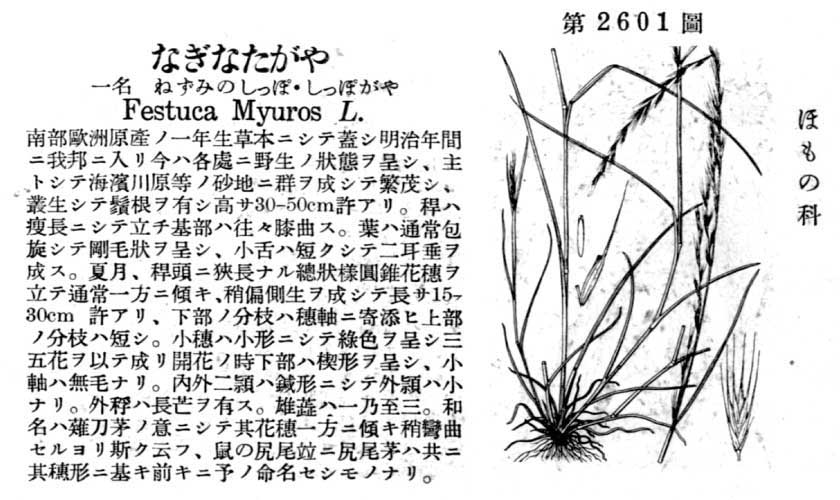 植物図鑑