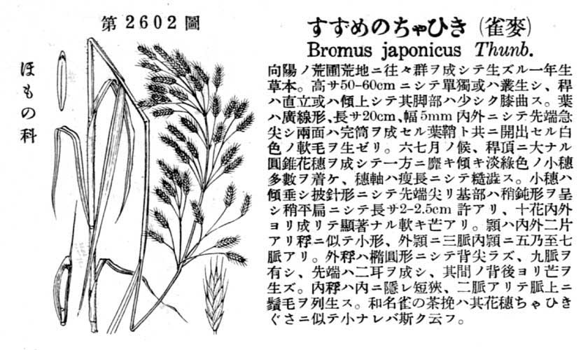 植物図鑑