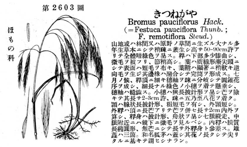 植物図鑑