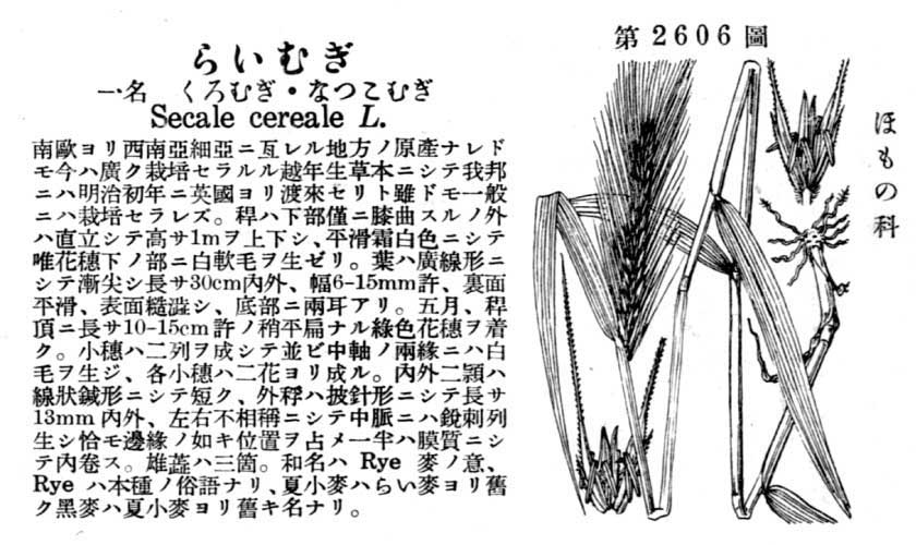 植物図鑑