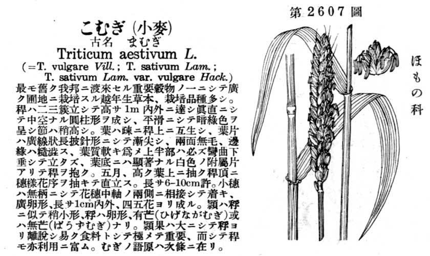 植物図鑑