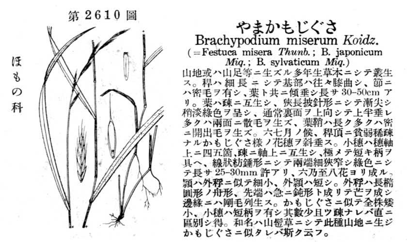 植物図鑑