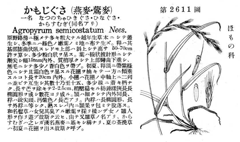 植物図鑑