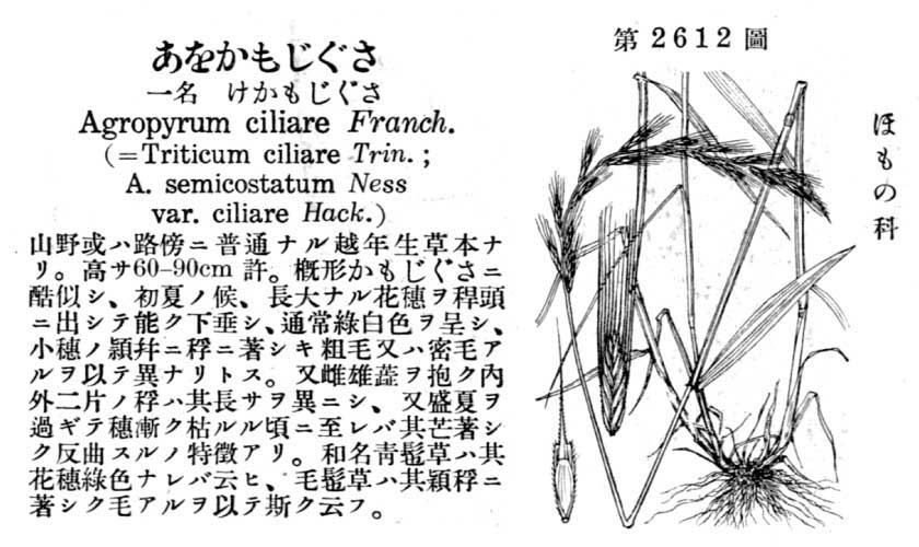 植物図鑑