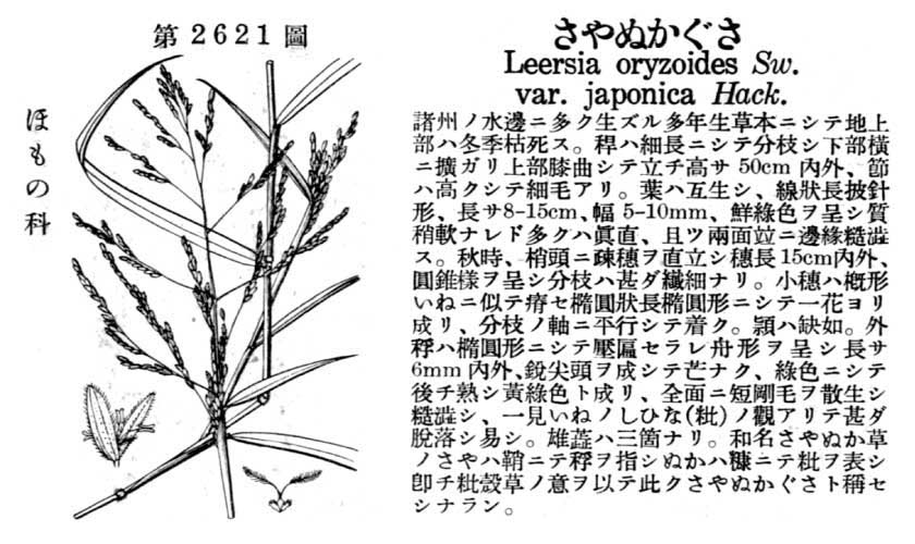 植物図鑑