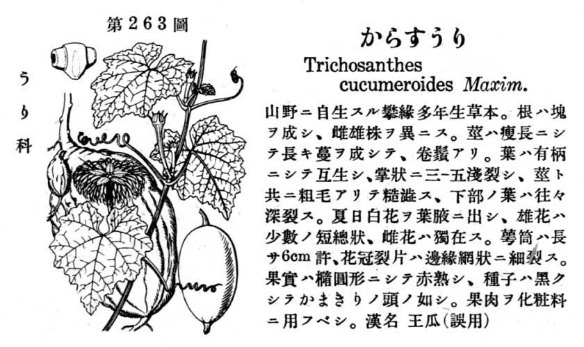 植物図鑑