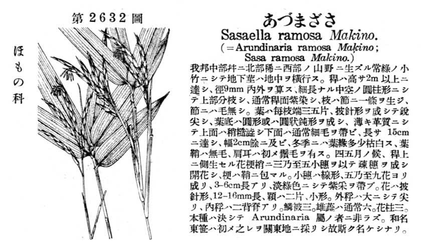 植物図鑑