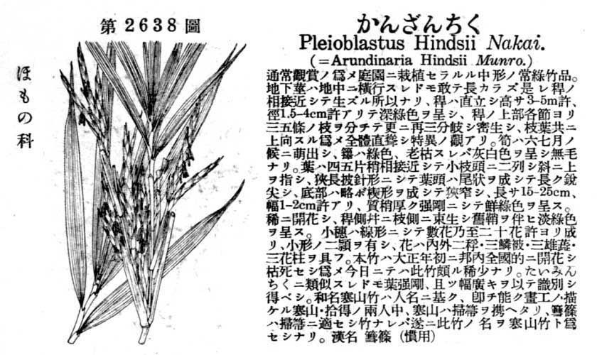 植物図鑑