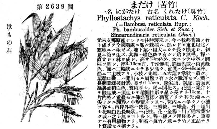 植物図鑑