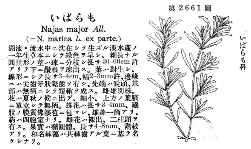 植物図鑑